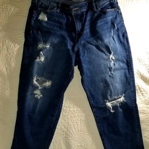 Lane Bryant distressed boyfriend cropped jeans